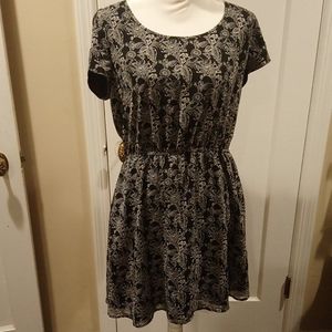 Frenchi black and white